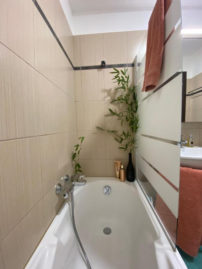 Appartement Dolce Farniente Belgodère Extérieur photo